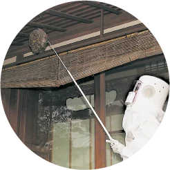 ハチの駆除と巣の撤去